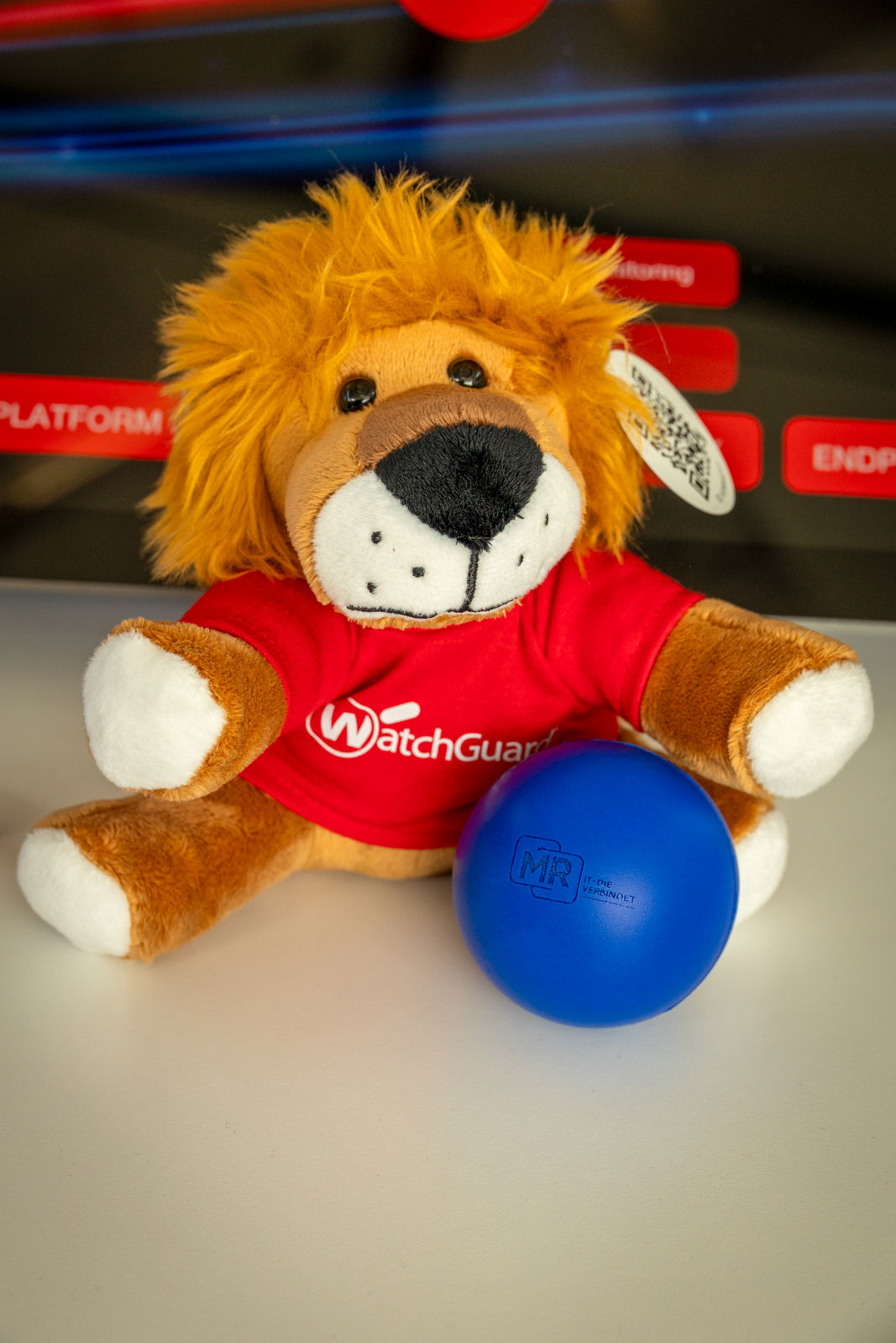 64 - Brennweite37_MRSecurityForum_2025-064-vollaufloesend